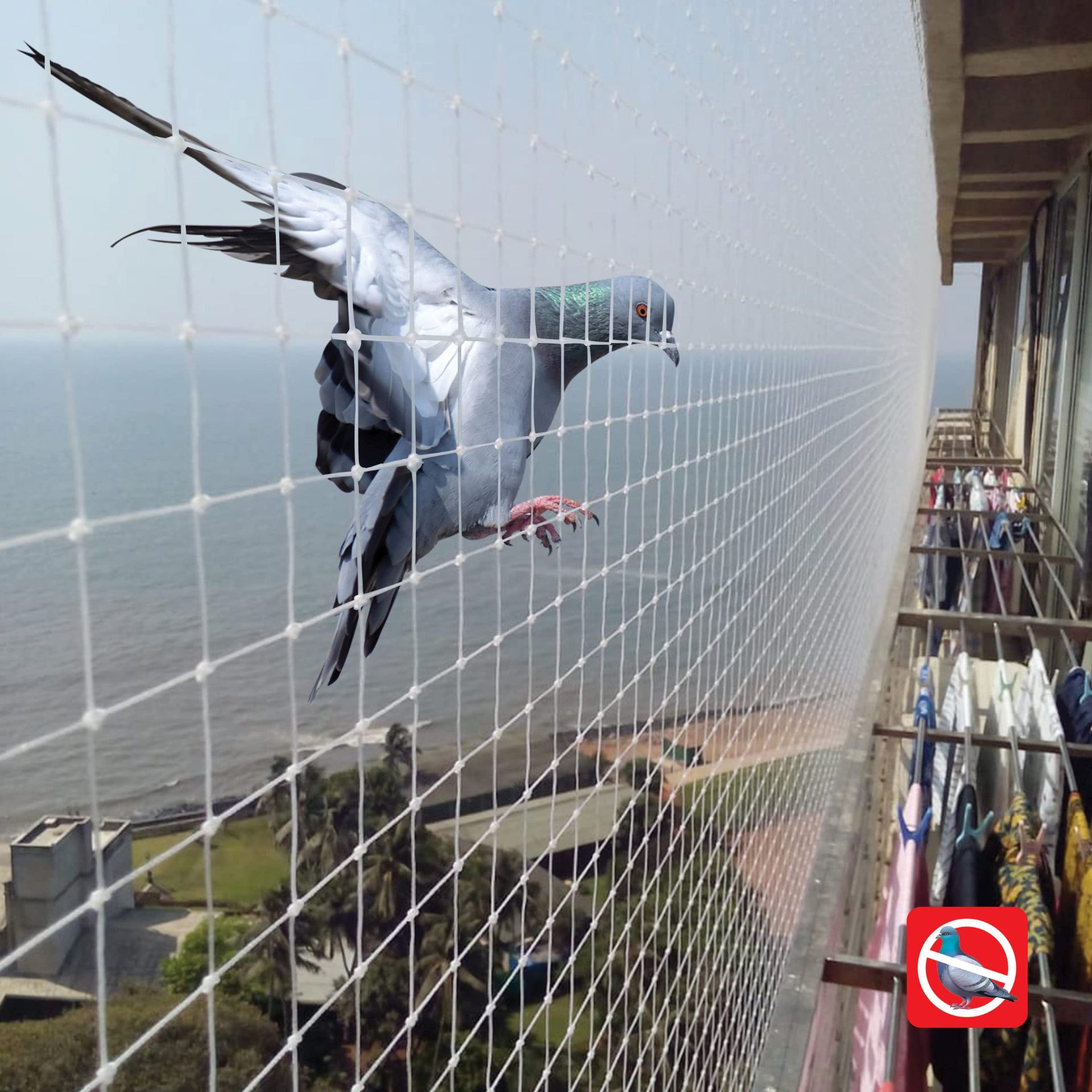 BGR Bird Net Services installation 3