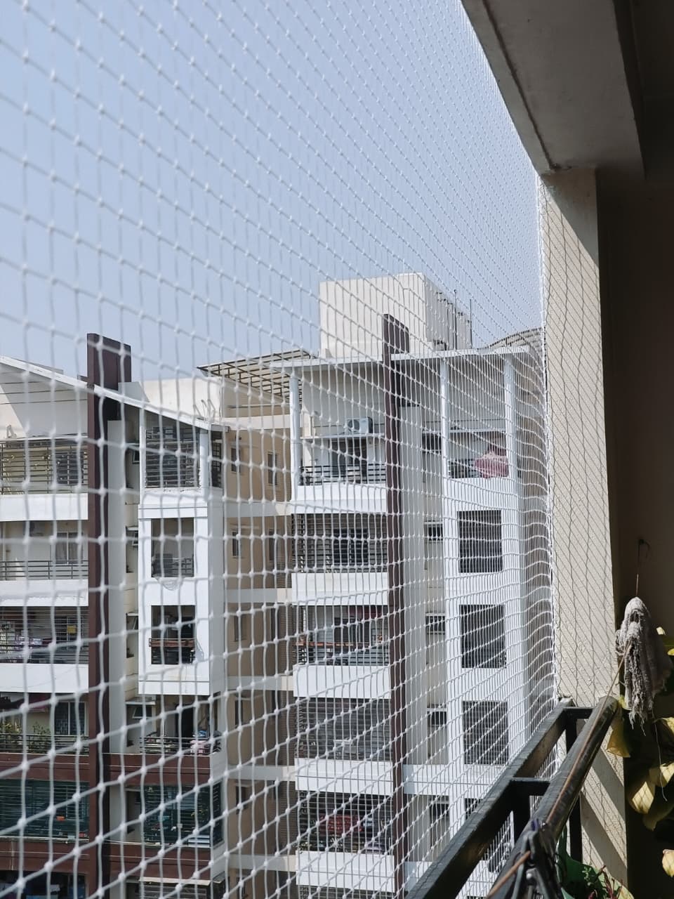 BGR Bird Net Services installation 4