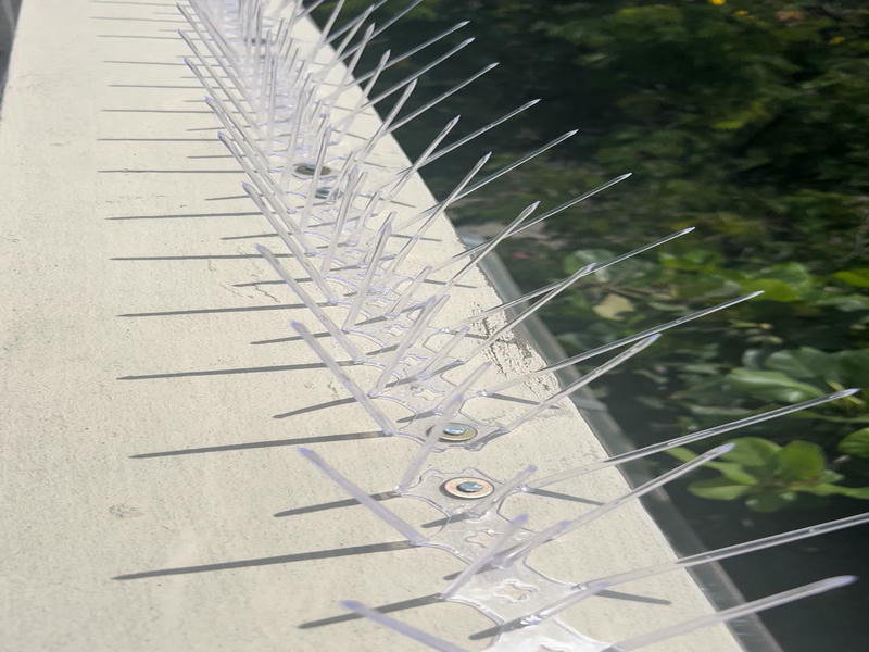 Bird Spikes installation 4 in Hyderabad