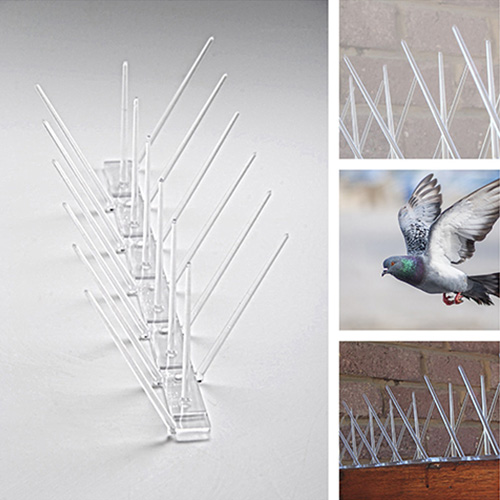 Bird Spikes installation 5 in Hyderabad