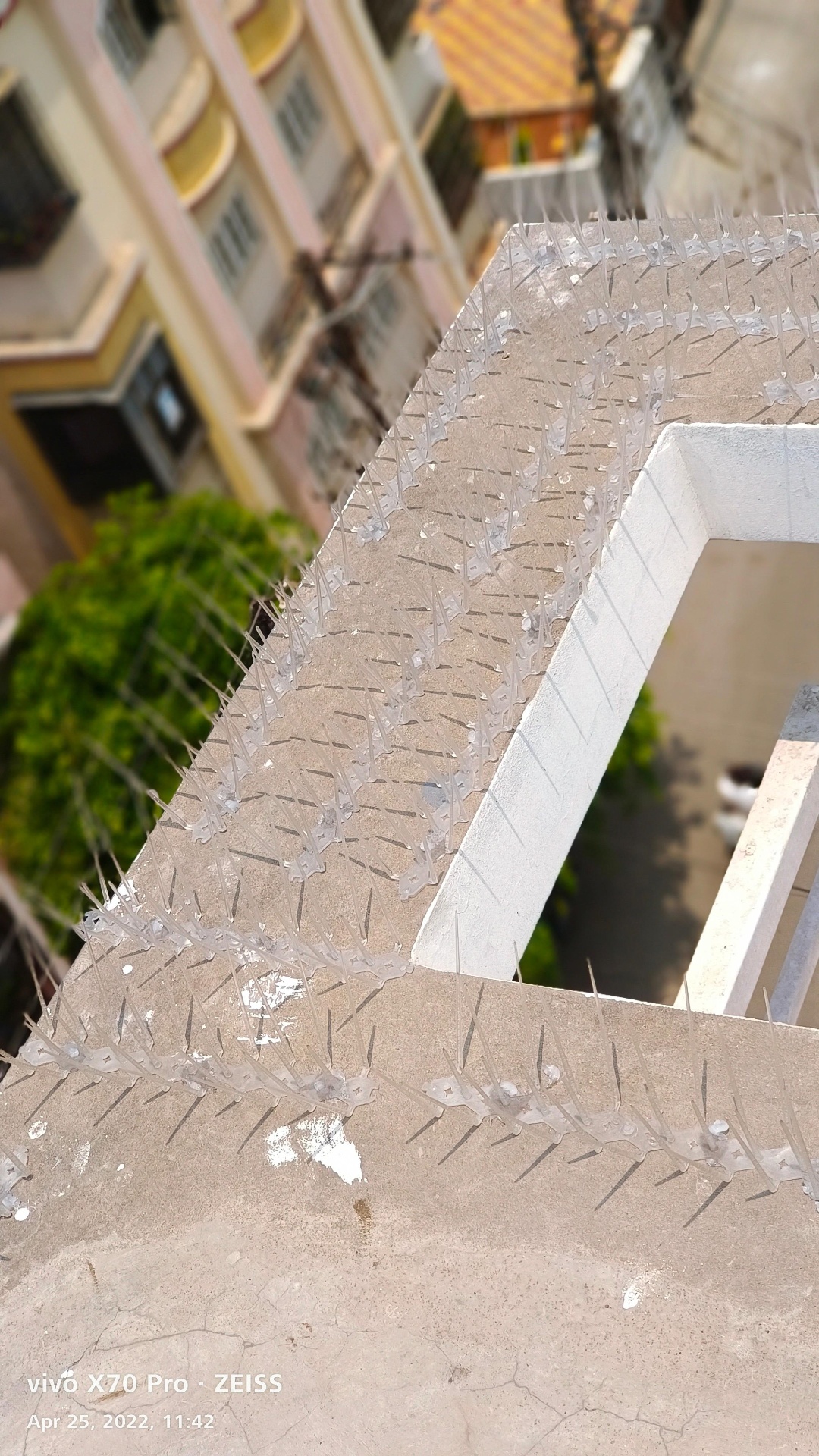 Bird Spikes installation 6 in Hyderabad