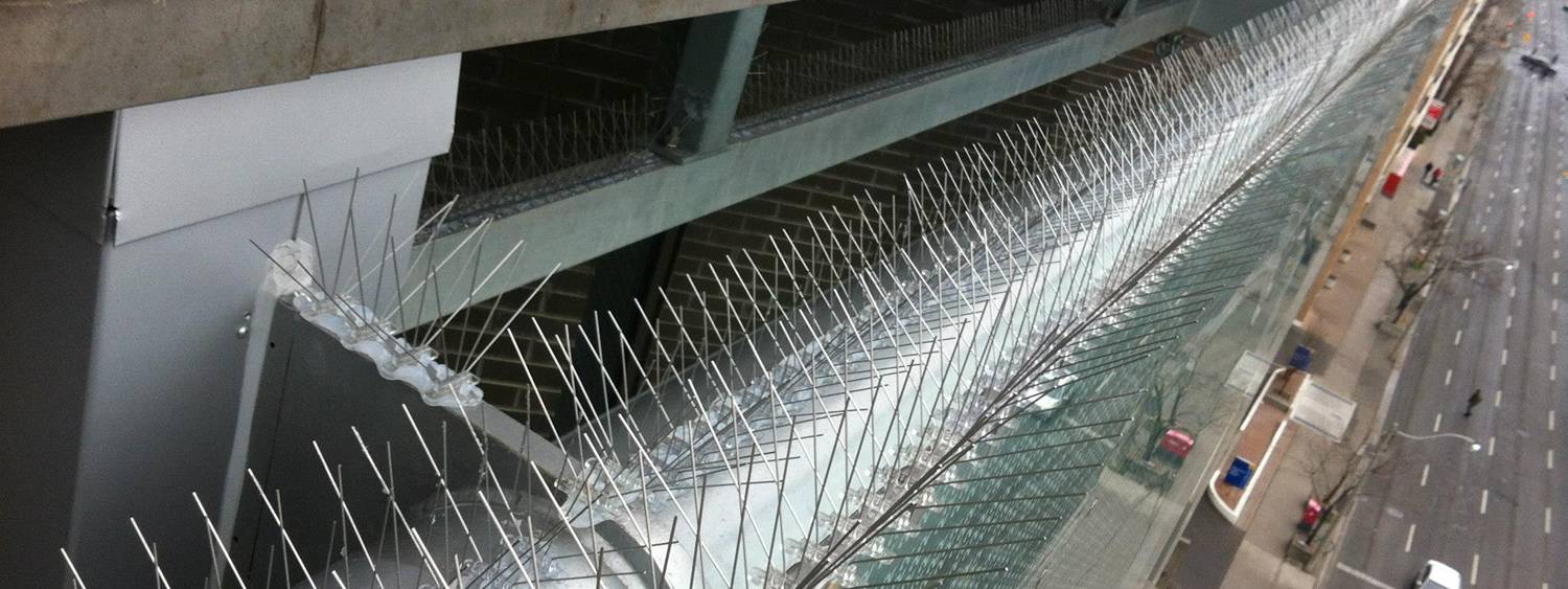 Bird Spikes installation 7 in Hyderabad