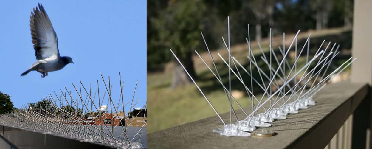 Bird Spikes installation 8 in Hyderabad